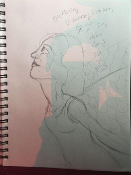 sketches