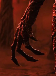 Claw