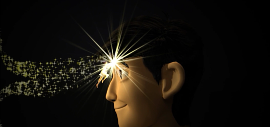 Tadashi model
