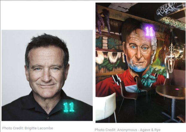Robin Williams