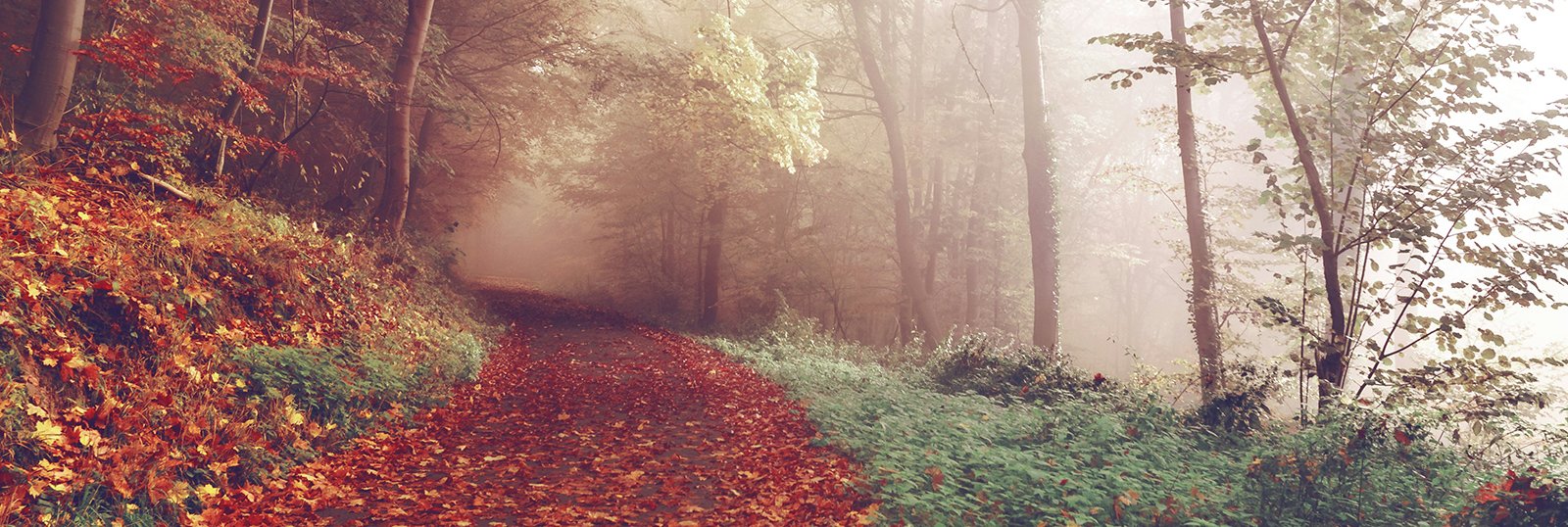 autumn